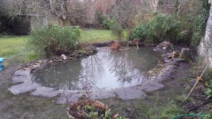 Pond restoration - the mended and restored pond just in time for the toads to return