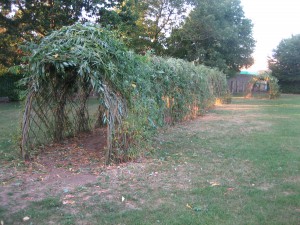 Living willow 'caterpillar' planted for a primary school 